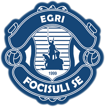 EFE Logo